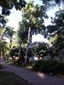 2003-04 martinique 009
